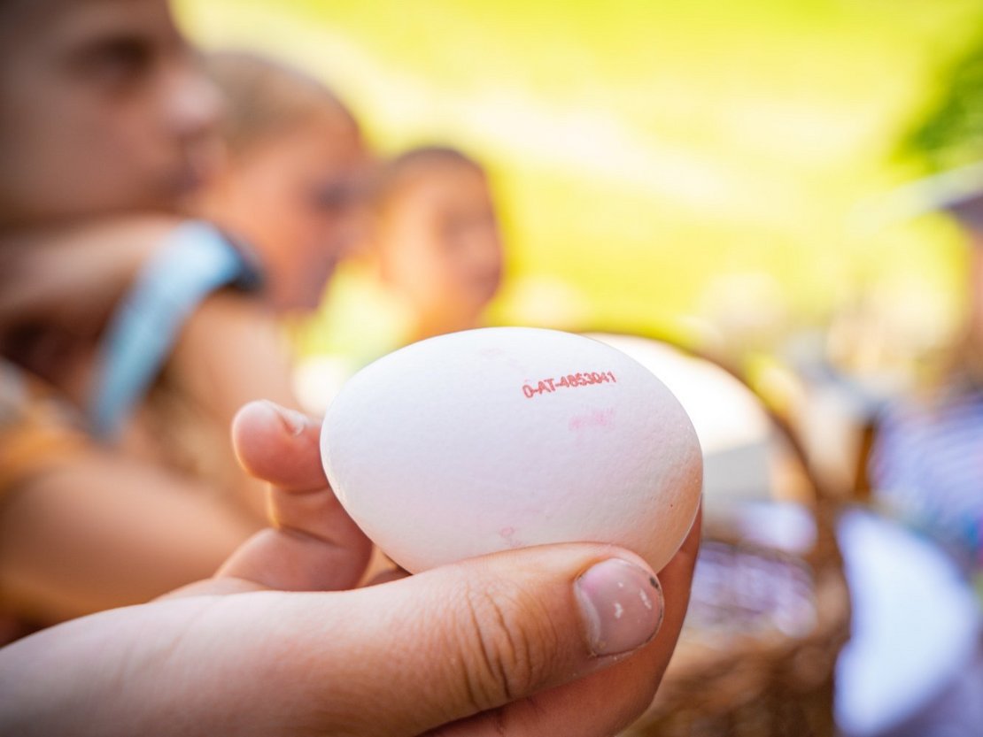 Kind hält Ei in der Hand