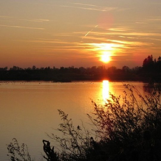 Wildfischzucht Machacek Titelbild